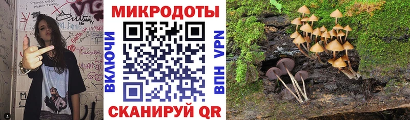 Псилоцибиновые грибы мицелий Нея