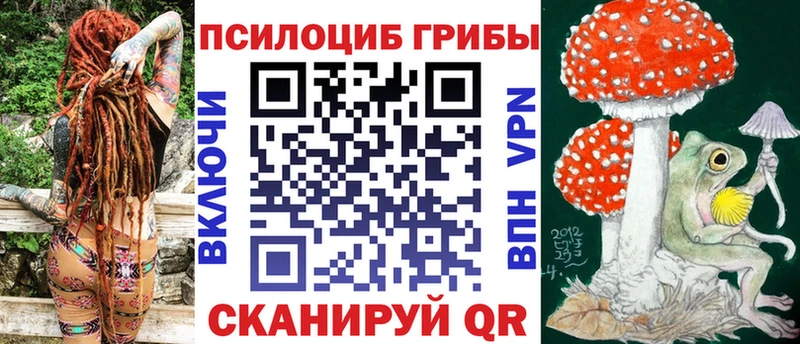 закладки  Нея  Галлюциногенные грибы мицелий 